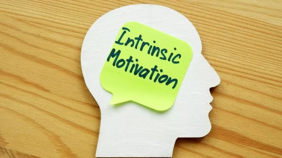 The Role of Intrinsic Motivation